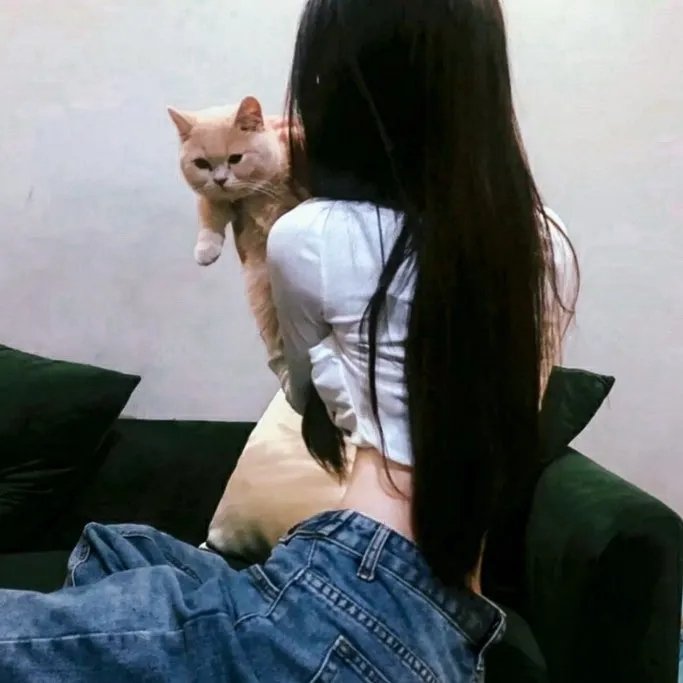 青春后驱动